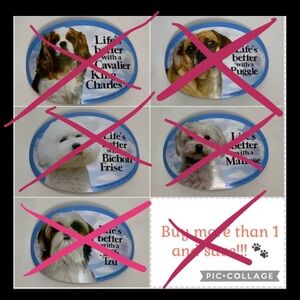 Puggle, Bichon Frise, Maltese, Shih Tzu, & Cavalier King Charles Magnets
